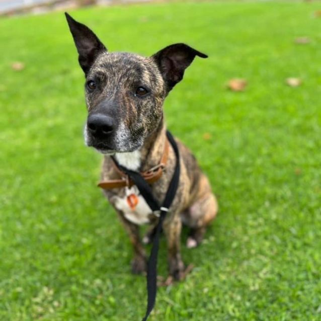 Photo of Tara Dl2531