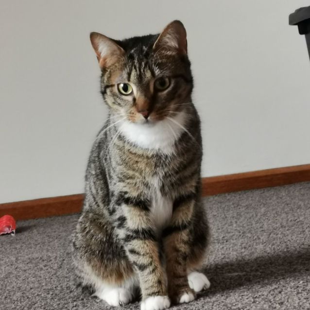 Photo of Juno 🌷🌷