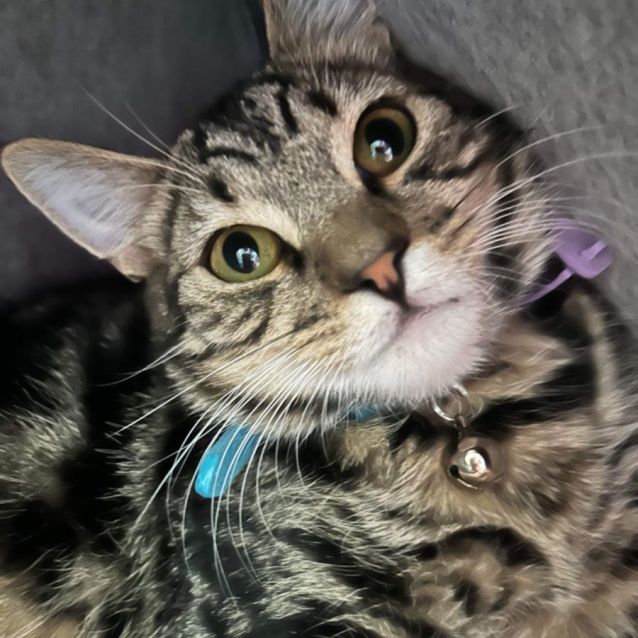 Photo of Cola 🤎🥤🫧