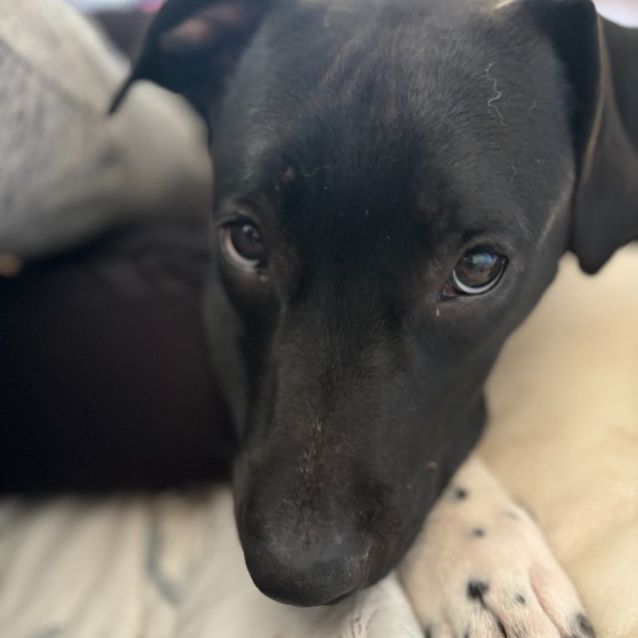 Photo of Snugglebum