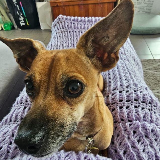 Photo of Pelly Welly