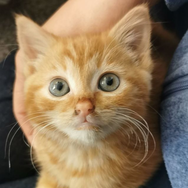 Photo of Ace & Aria 🌸