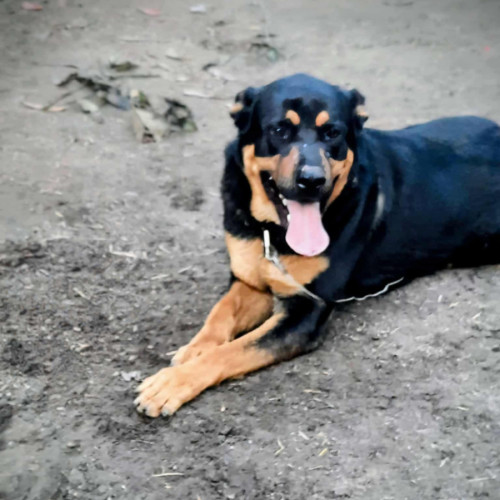 No photo for Lucky 🌟 