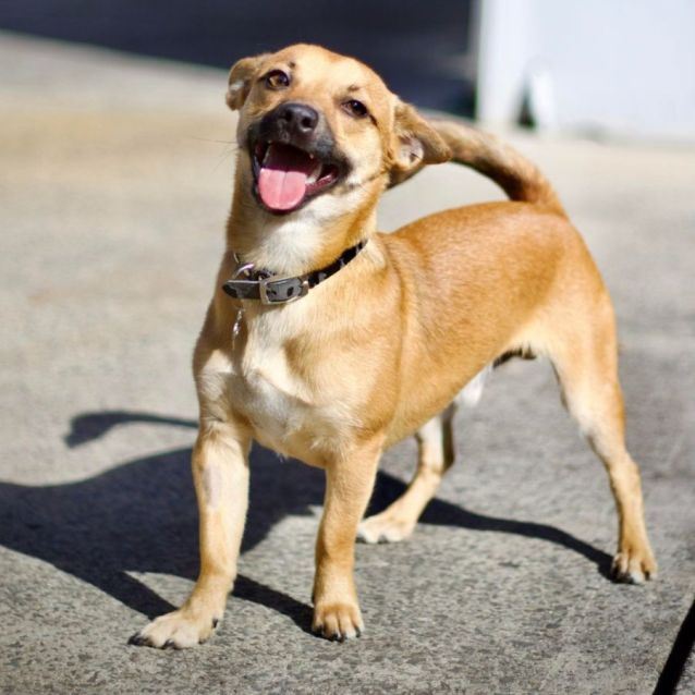 Photo of 💜 Cisco 💜