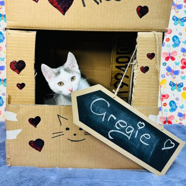 Photo of Greggie   Located In Preston