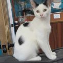 Photo of Lillian