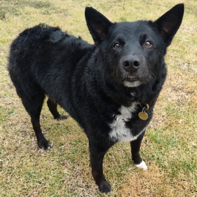 Photo of Cubby