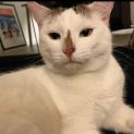 Photo of Evee