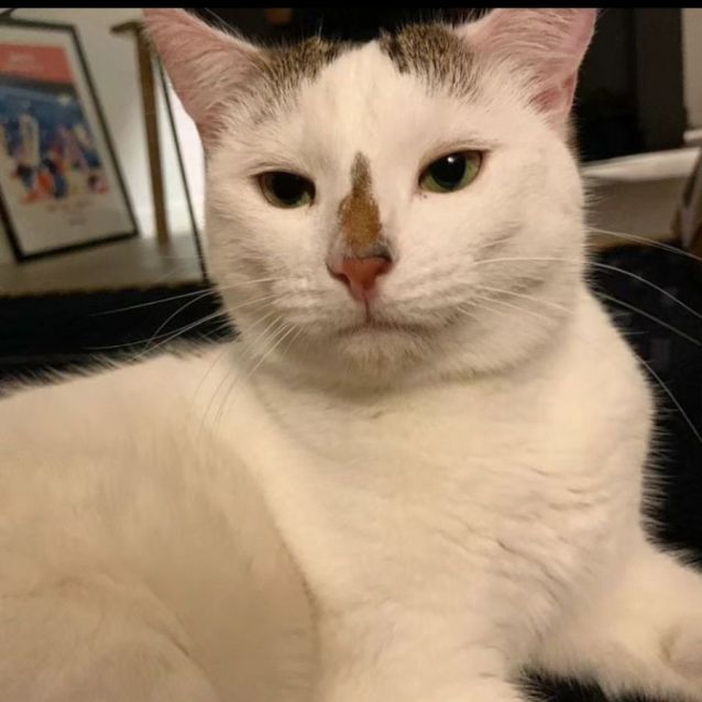 Photo of Evee 