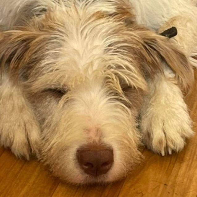 Photo of Eleanor