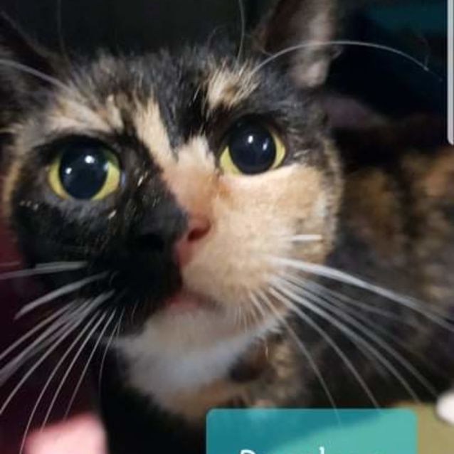 Photo of Penelope