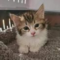 Photo of Lilly