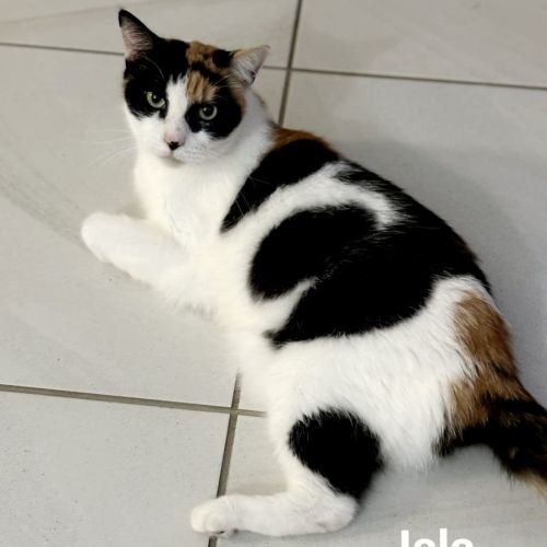 Isla