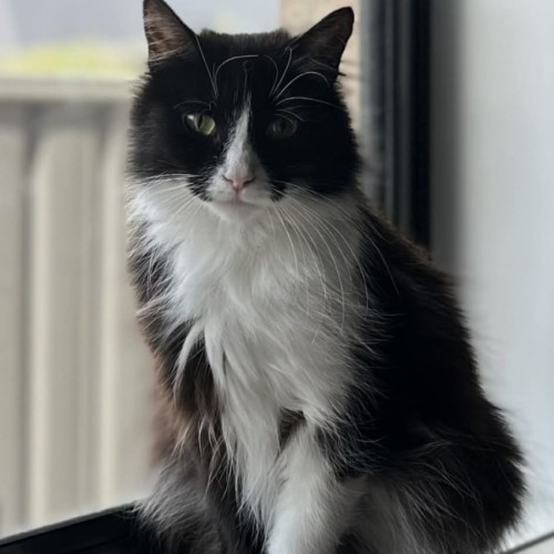 No photo for Queen Victoria