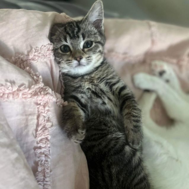 Photo of Maya