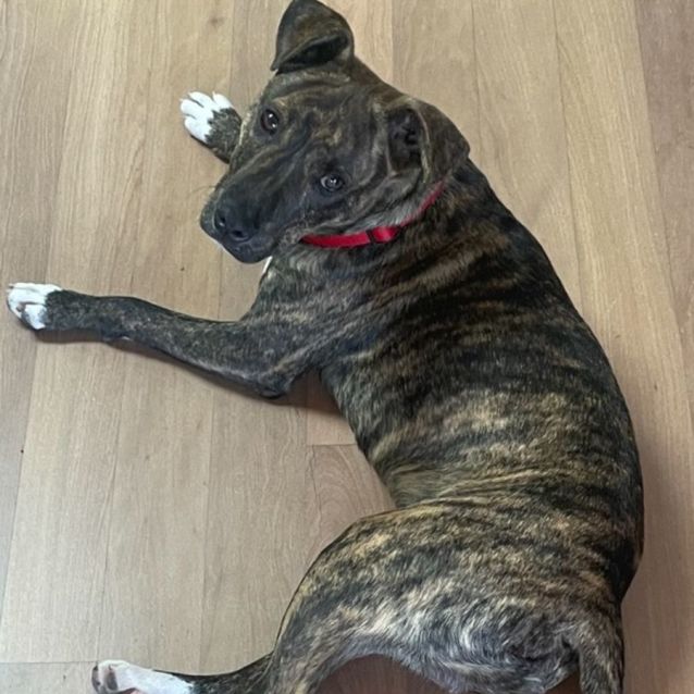 Photo of Gus
