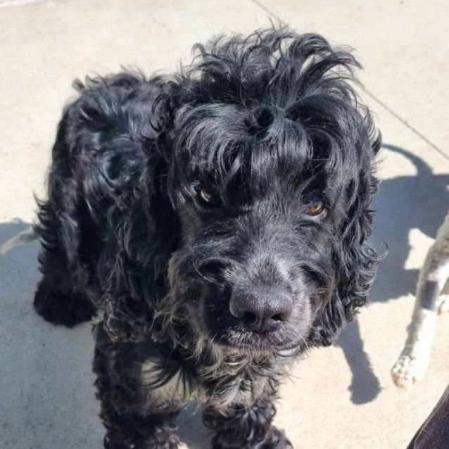 Photo of Clementine