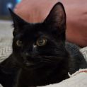 Photo of Tiny