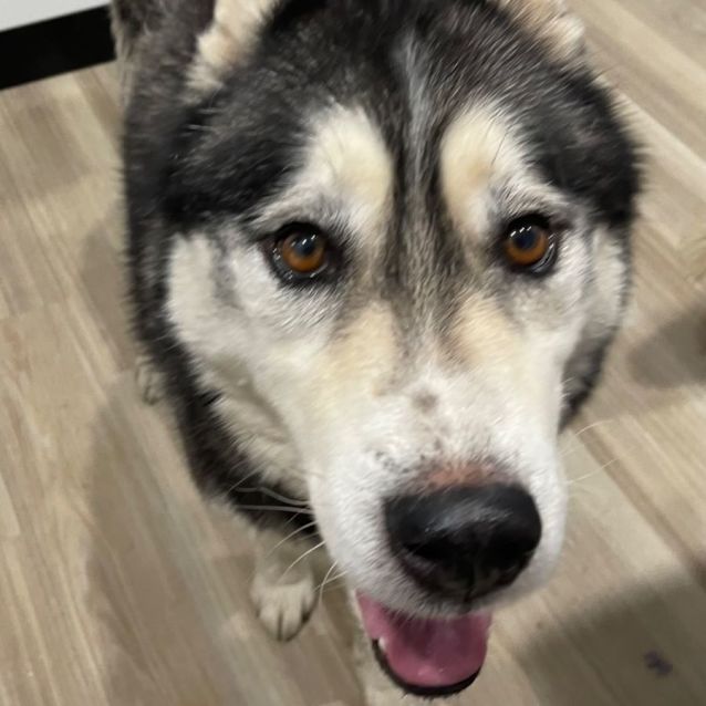 Photo of Maverick