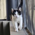 Photo of Cleo