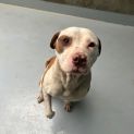 Photo of Maggie