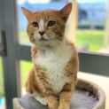 Photo of 😸Barry F02556😸