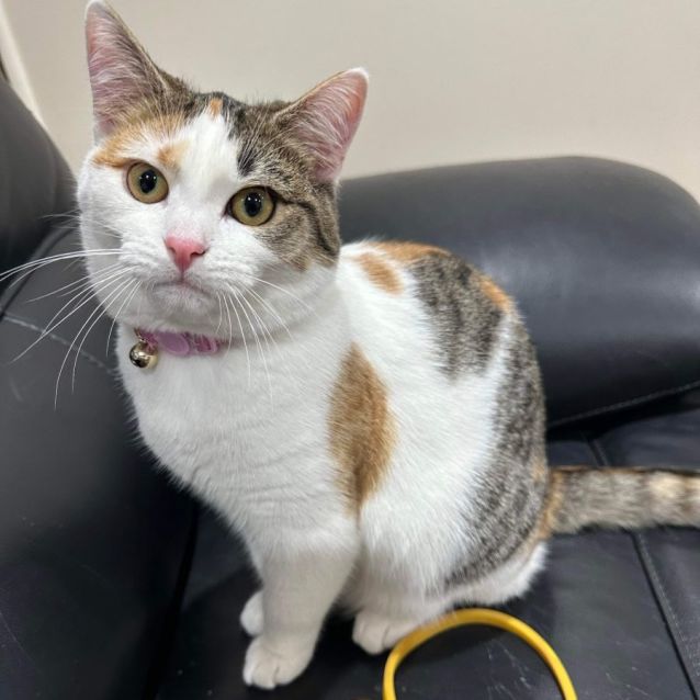 Photo of Elli May & Tinker Bell