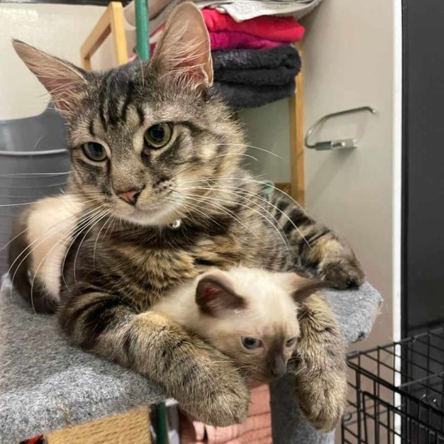 Photo of Seamus O'malley