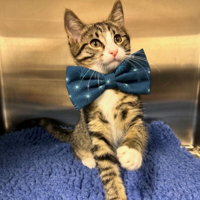 Photo of Velma & Shaggy