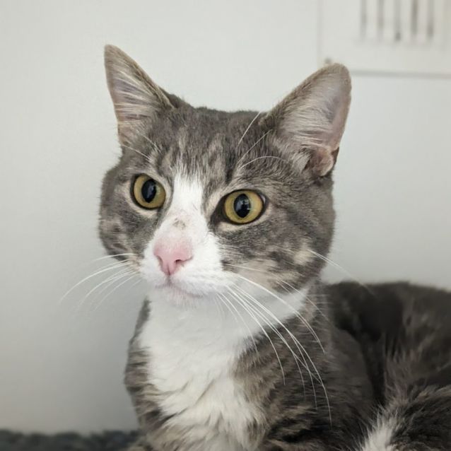 Photo of 🐻 Benji 5089 🐻