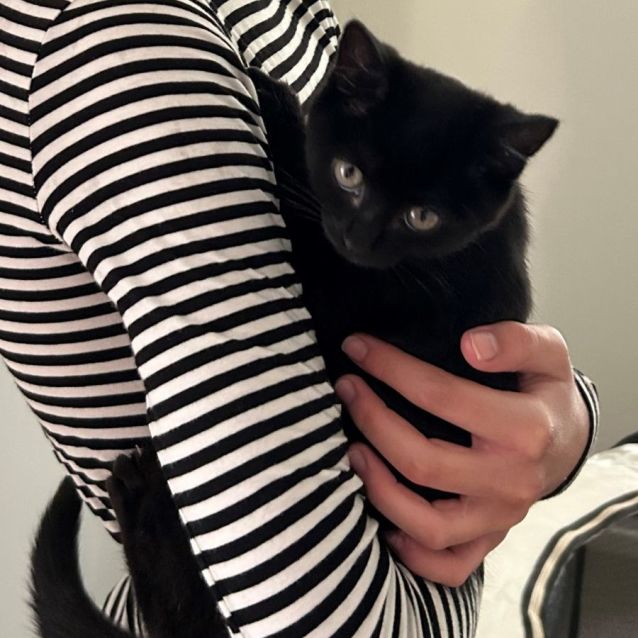 Photo of Baby Beans 
