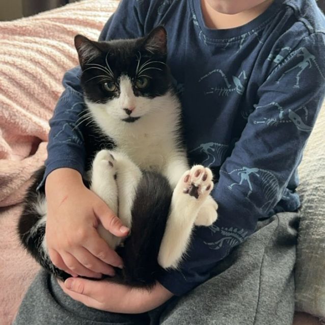 Photo of Mickey 🐈‍⬛