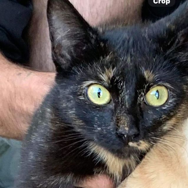 Photo of 💞 Callie 💞