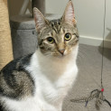 Photo of Evie