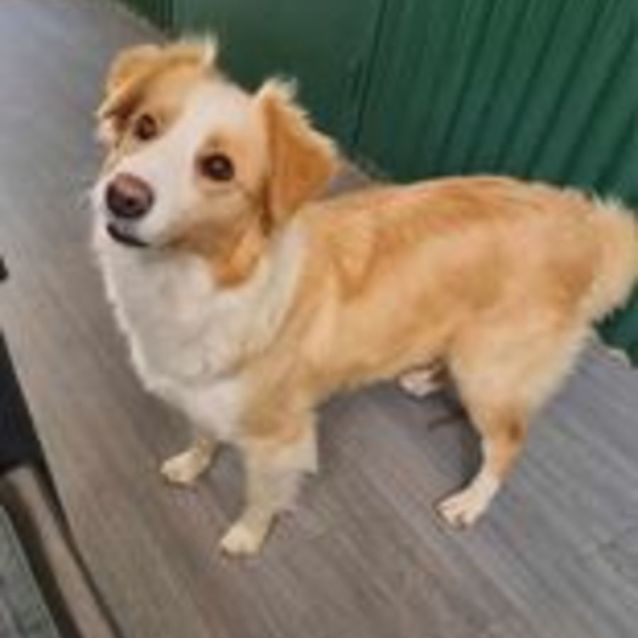 Photo of Bonnie