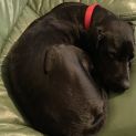 Photo of Storm