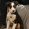 Photo of Draper