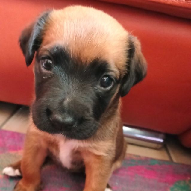 Photo of D941 Bandit 