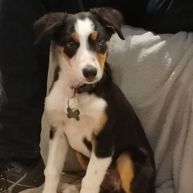 Photo of Draper