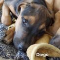 Photo of Diego