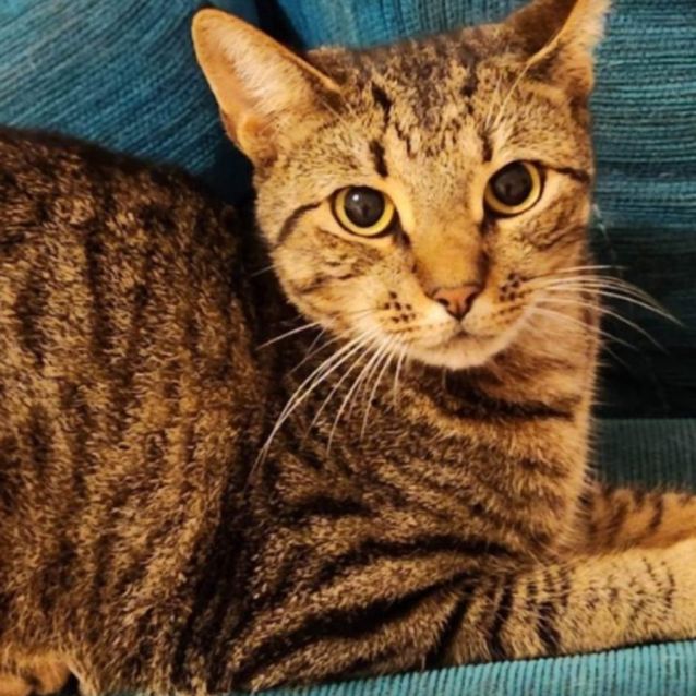 Photo of Milo