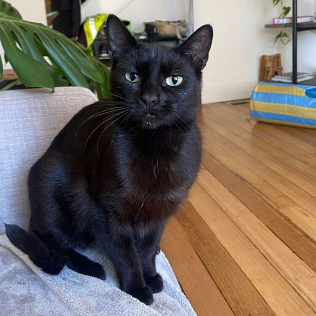 Photo of Allegra 🌹