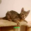 Photo of Jamie