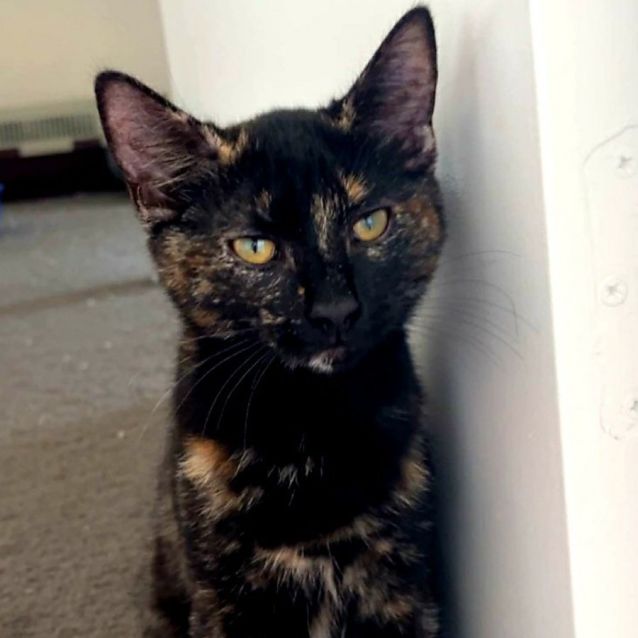 Photo of Annii & Daisey 🌺🌼