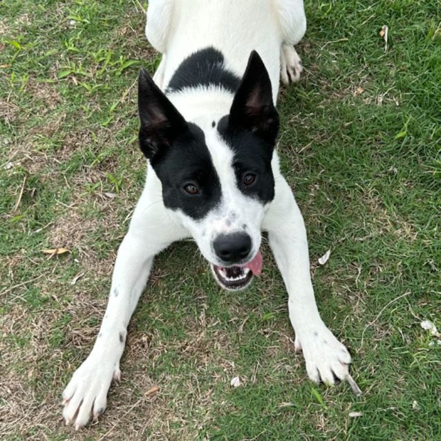 Photo of Muppet 5534