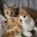 Photo of Martin & Mercedes ๐ผ๐ป