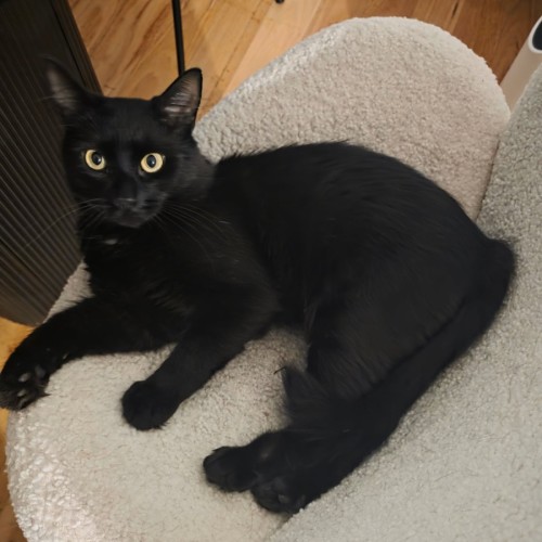 No photo for Macchiato