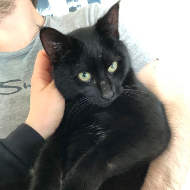 Photo of Abel | Ck Rescue 