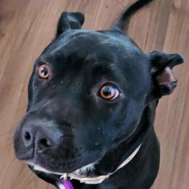 Photo of Delores Umbridge 