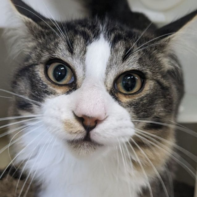 Photo of 🎨 Murphy F02773 🎨